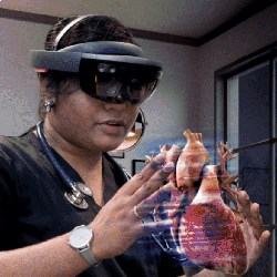virtual reality anatomy models